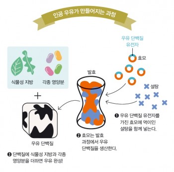 인공 우유가 만들어지는 과정. - 동아사이언스 제공
